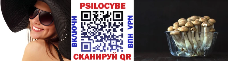 Псилоцибиновые грибы Magic Shrooms  гидра сайт  Туапсе 
